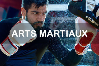 Arts Martiaux