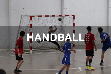 Sac 22 ballons Handball