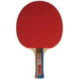 Raquette de Ping Pong Swiftflyte Blizzard